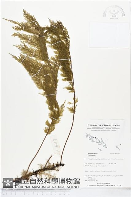 登錄號:BP02406藏品圖，第1張