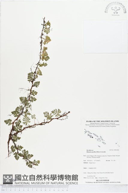 登錄號:BP01406藏品圖，第1張