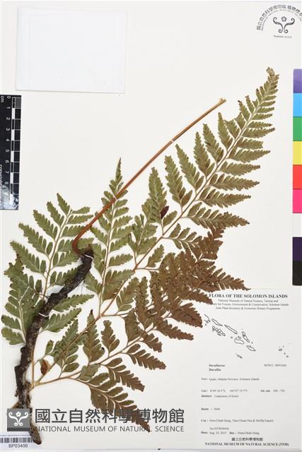 登錄號:BP03406藏品圖，第1張