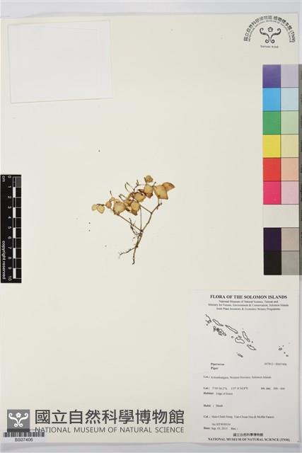 登錄號:BS07406藏品圖，第1張