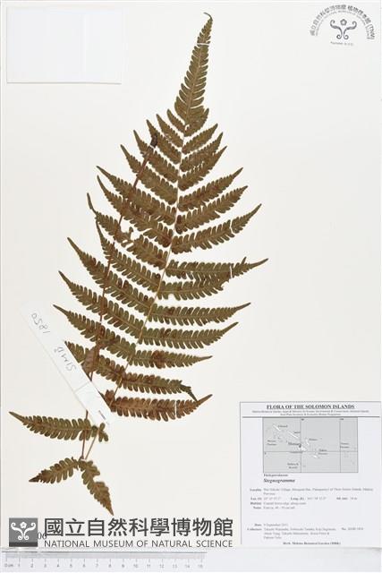 登錄號:BP00206藏品圖，第1張