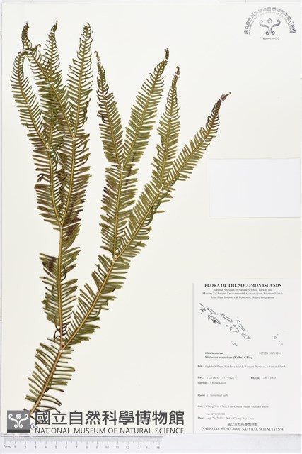 登錄號:BP01206藏品圖，第1張