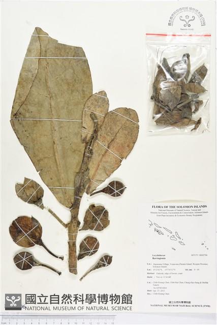 登錄號:BS02706藏品圖，第1張