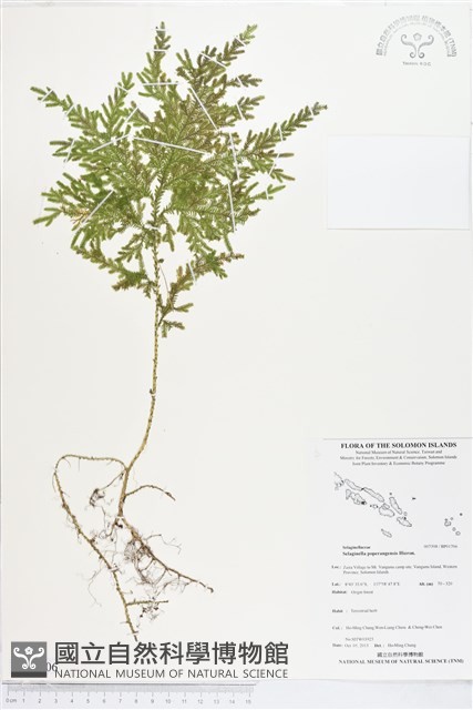 登錄號:BP01706藏品圖，第1張