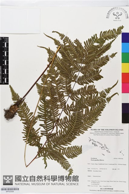 登錄號:BP02506藏品圖，第1張
