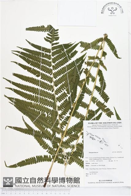 登錄號:BP00506藏品圖，第1張