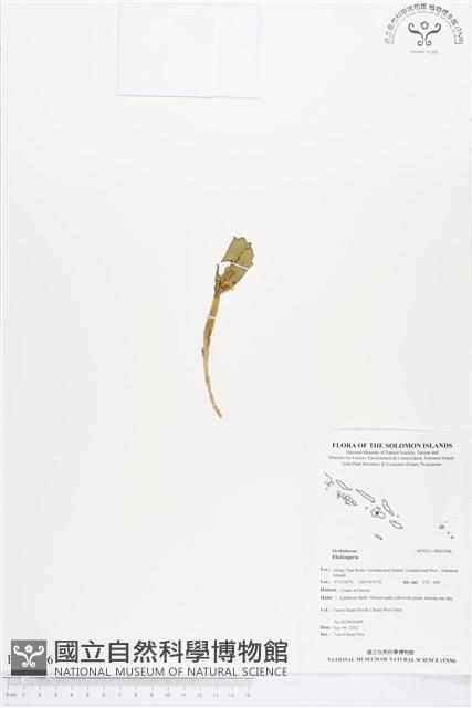 登錄號:BS01506藏品圖，第1張