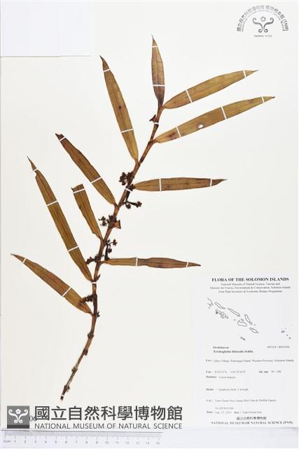 登錄號:BS03506藏品圖，第1張