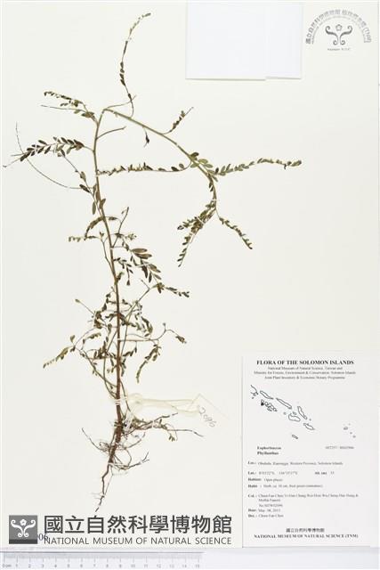 登錄號:BS02906藏品圖，第1張