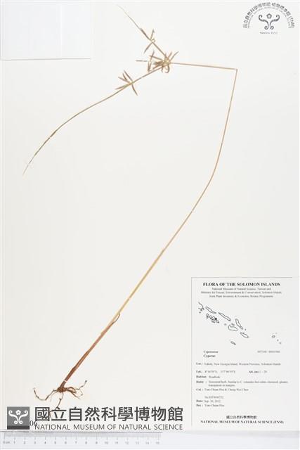 登錄號:BS01906藏品圖，第1張