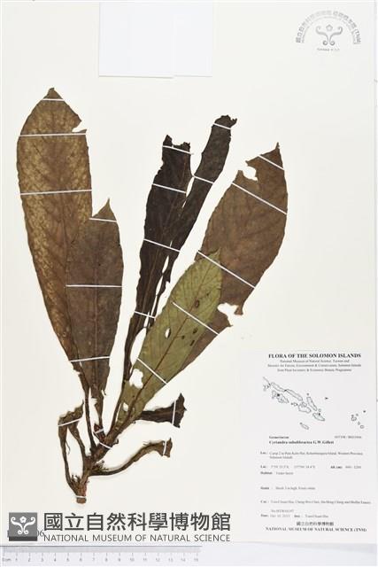 登錄號:BS03906藏品圖，第1張