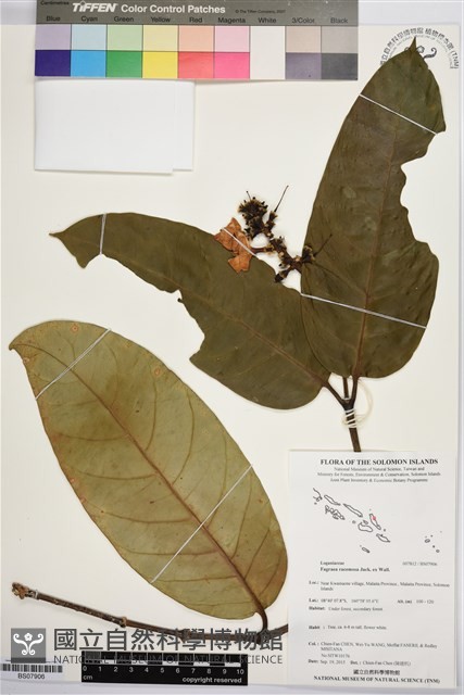 登錄號:BS07906藏品圖，第1張