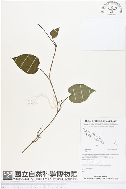 登錄號:BS02306藏品圖，第1張