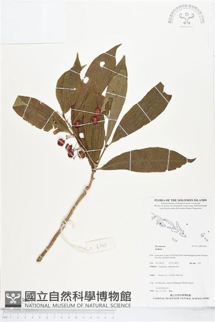 登錄號:BS05306藏品圖，第1張