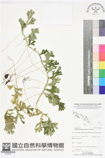 登錄號:BP02836藏品圖，第1張