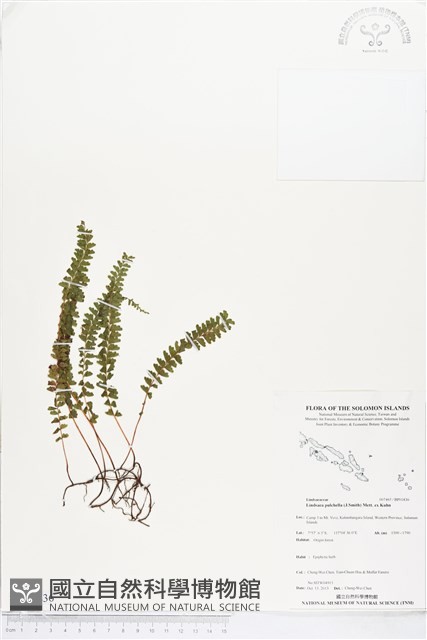 登錄號:BP01836藏品圖，第1張