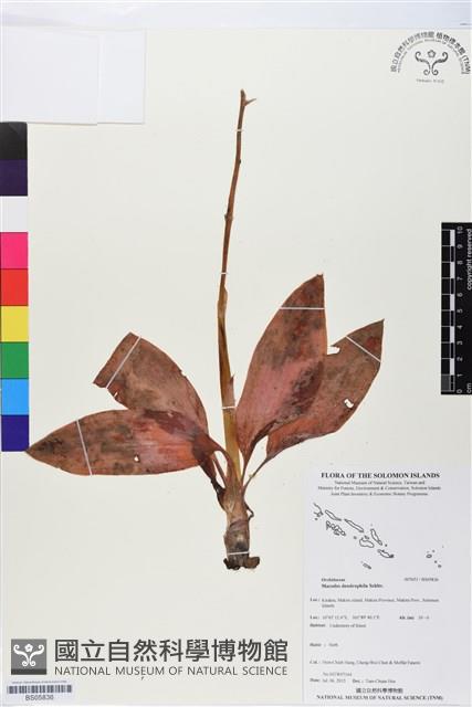 登錄號:BS05836藏品圖，第1張