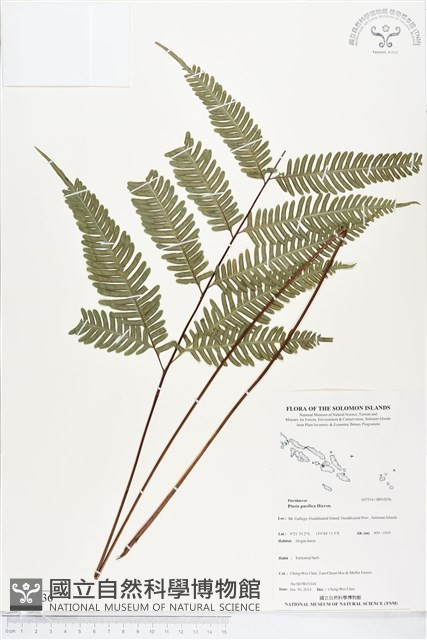 登錄號:BP02036藏品圖，第1張