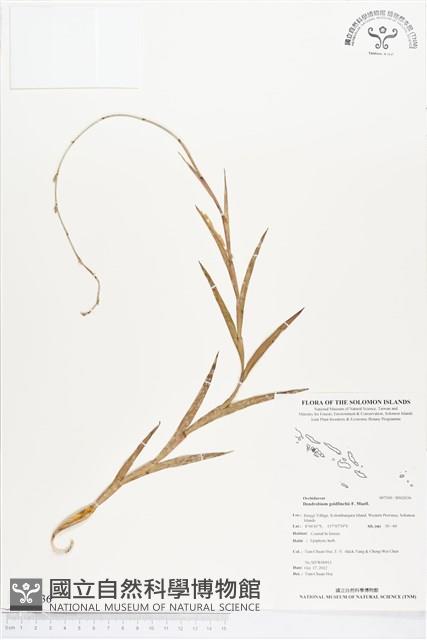 登錄號:BS02036藏品圖，第1張