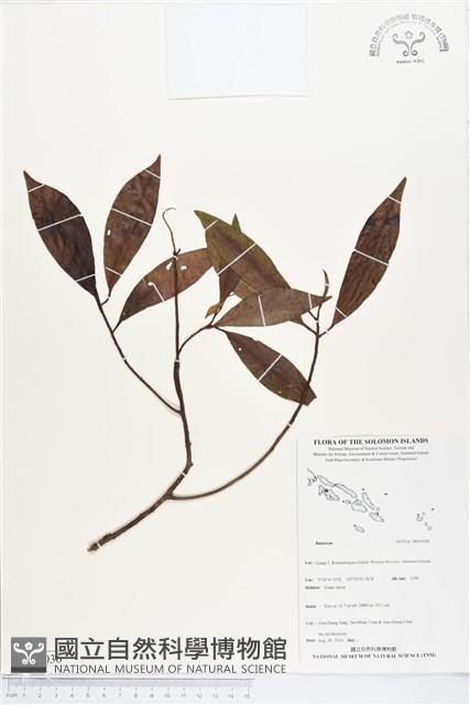 登錄號:BS05036藏品圖，第1張