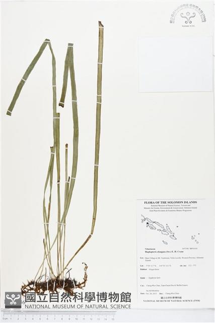 登錄號:BP01636藏品圖，第1張