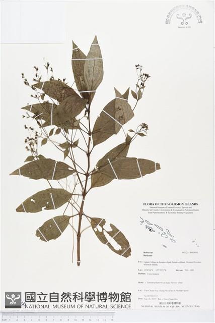 登錄號:BS03636藏品圖，第1張