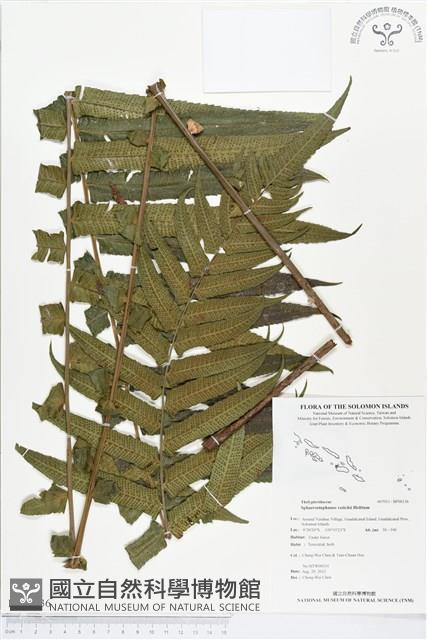登錄號:BP00136藏品圖，第1張