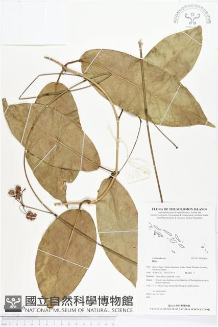 登錄號:BS02436藏品圖，第1張