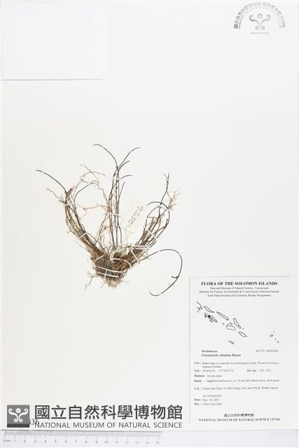 登錄號:BS03436藏品圖，第1張