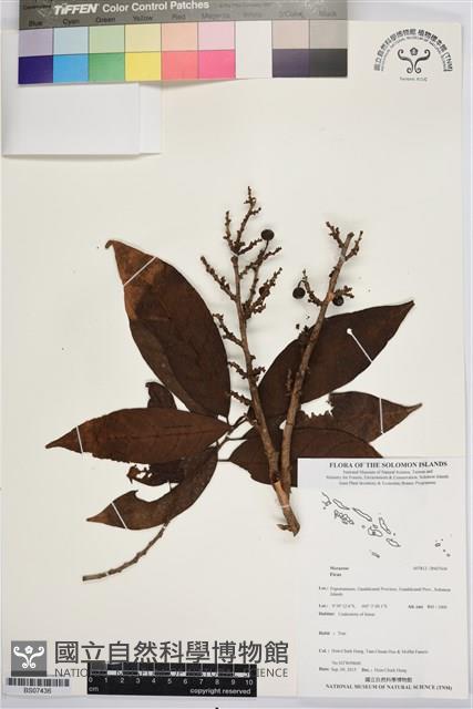 登錄號:BS07436藏品圖，第1張