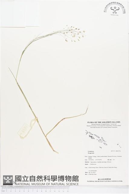 登錄號:BS02736藏品圖，第1張