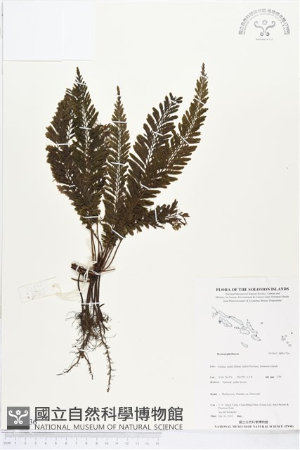 登錄號:BP01736藏品圖，第1張