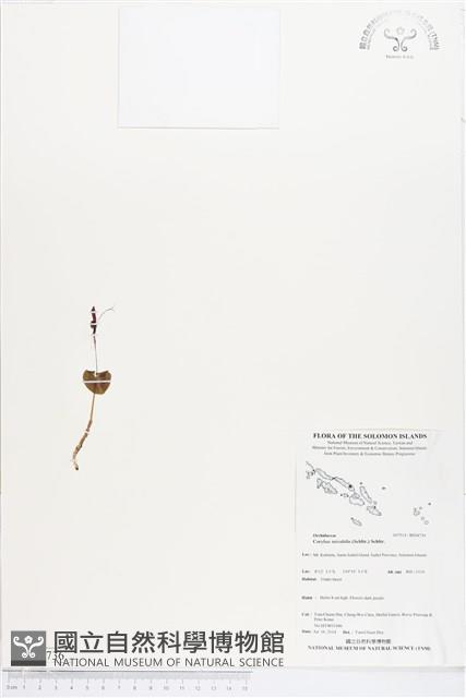 登錄號:BS04736藏品圖，第1張