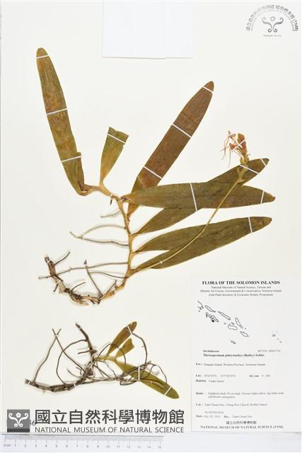 登錄號:BS03736藏品圖，第1張