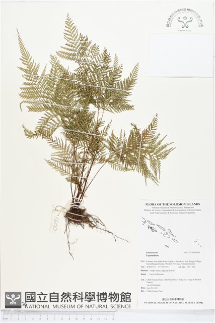 登錄號:BP00536藏品圖，第1張