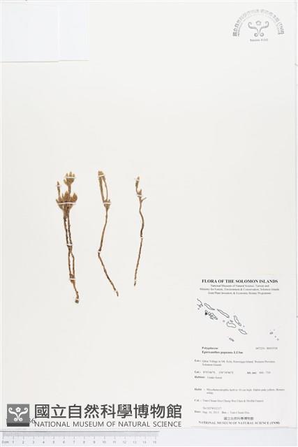 登錄號:BS03536藏品圖，第1張