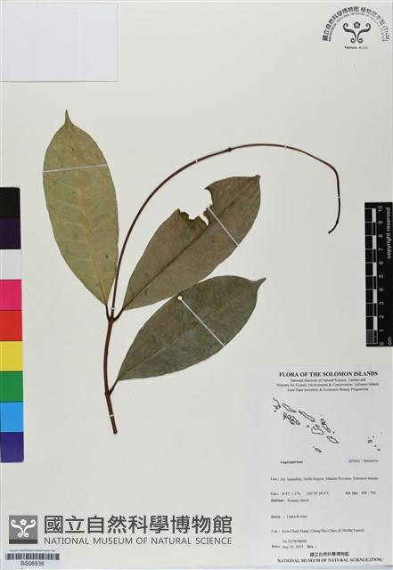 登錄號:BS06936藏品圖，第1張