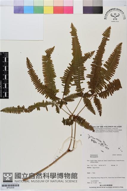 登錄號:BP02936藏品圖，第1張