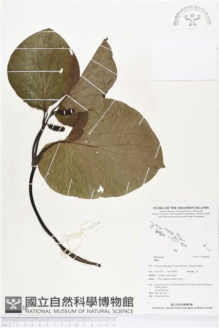 登錄號:BS02936藏品圖，第1張