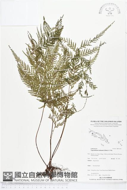 登錄號:BP01936藏品圖，第1張