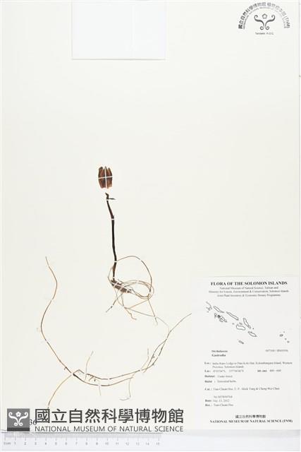 登錄號:BS01936藏品圖，第1張