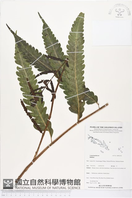 登錄號:BP02336藏品圖，第1張