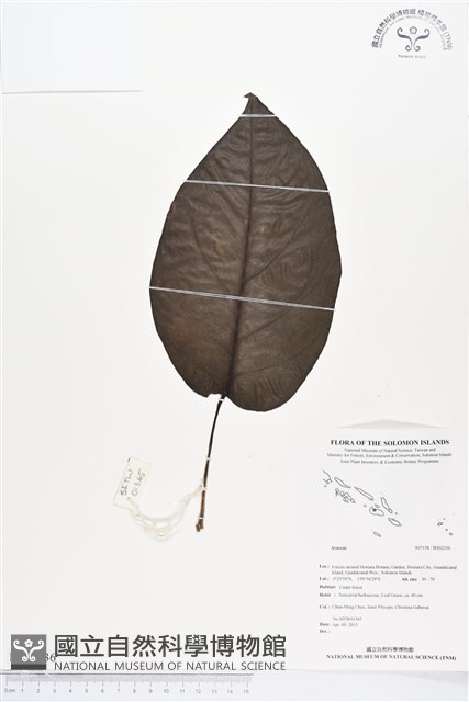 登錄號:BS02336藏品圖，第1張