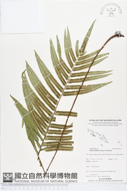 登錄號:BP01336藏品圖，第1張