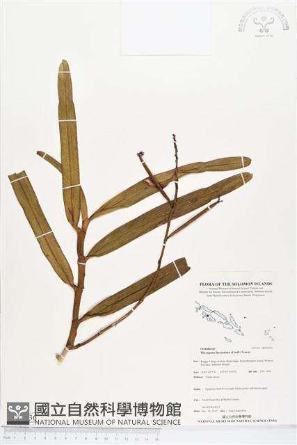 登錄號:BS04336藏品圖，第1張