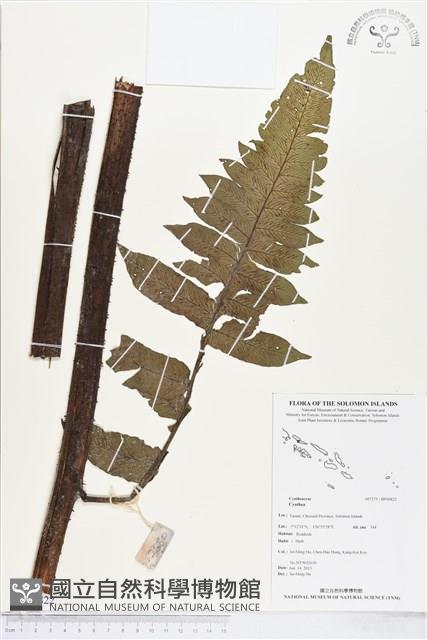 登錄號:BP00822藏品圖，第1張