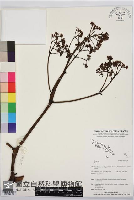 登錄號:BS07822藏品圖，第1張