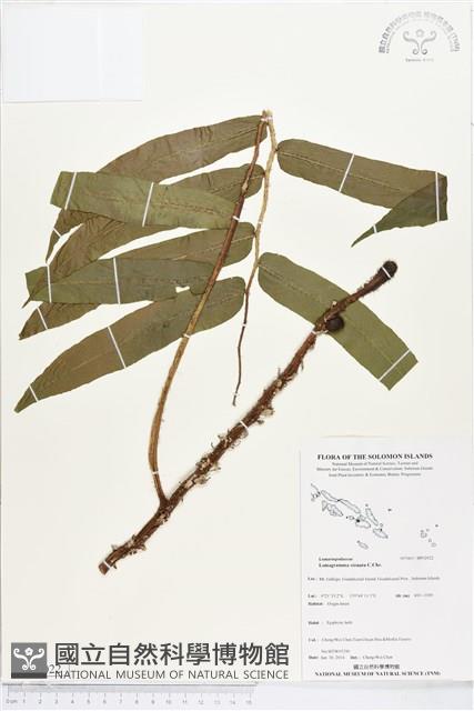 登錄號:BP02022藏品圖，第1張