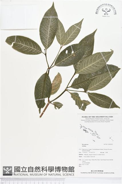 登錄號:BS02022藏品圖，第1張