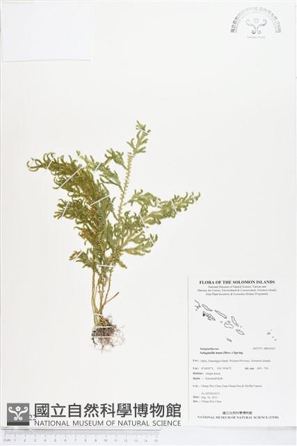 Accession Number:BP01022 Collection Image